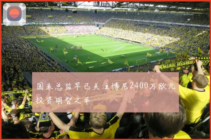 国米总监早已关注博尼2400万欧元投资明智之举