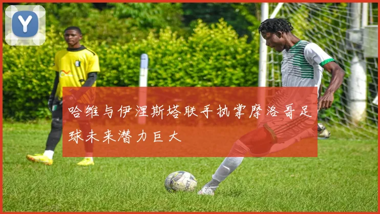 哈维与伊涅斯塔联手执掌摩洛哥足球未来潜力巨大